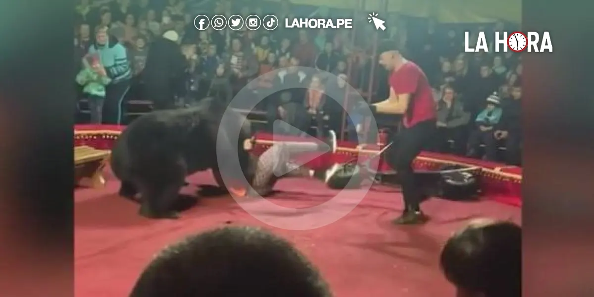 VIRAL: Osa ataca a su domador en circo de Rusia [VIDEO]