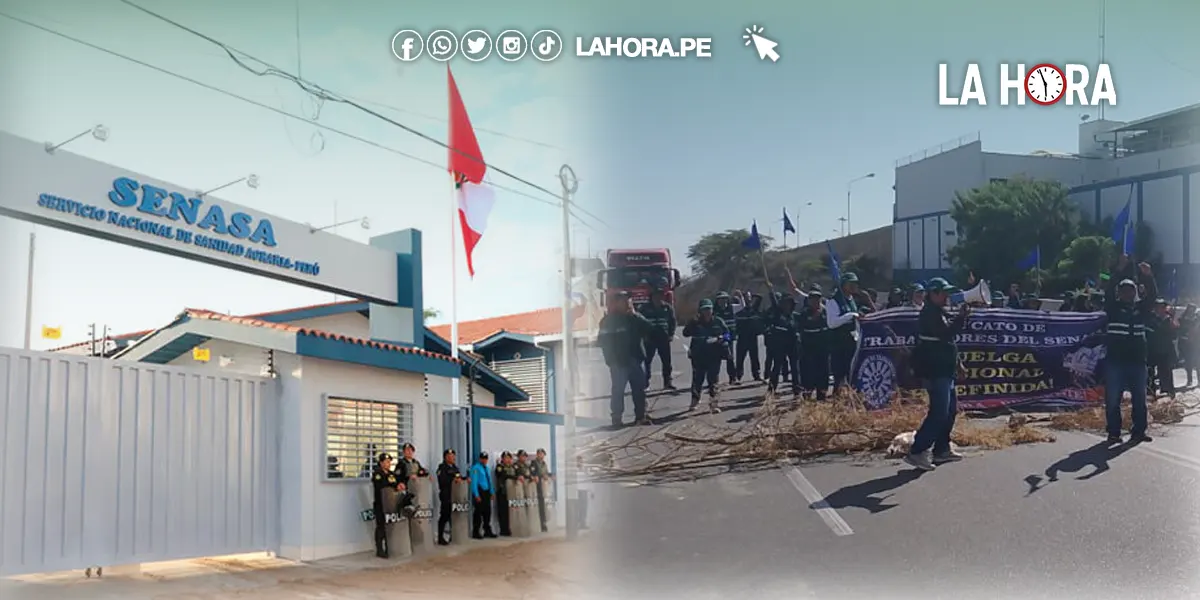 Piura: trabajadores de SENASA bloquean acceso al puerto de Paita en protesta