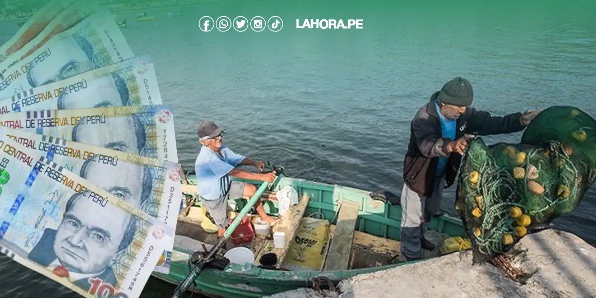 Bono de pescadores LINK para saber si soy beneficiario