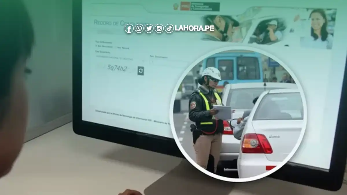 Cuántos puntos tengo en mi licencia
