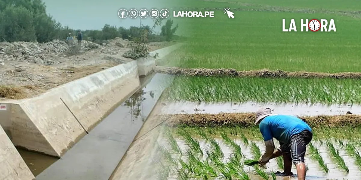 Piura: Agricultores temen que agua de Poechos no alcance para la campaña grande