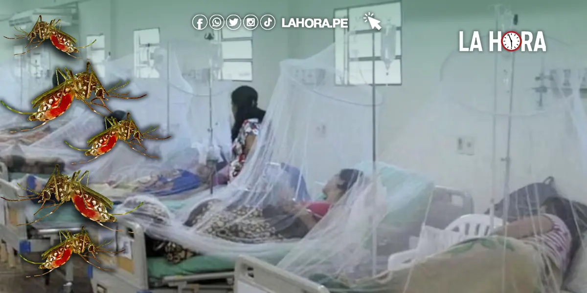 Piura registra más de 900 casos de dengue, ocupando el tercer lugar a nivel nacional