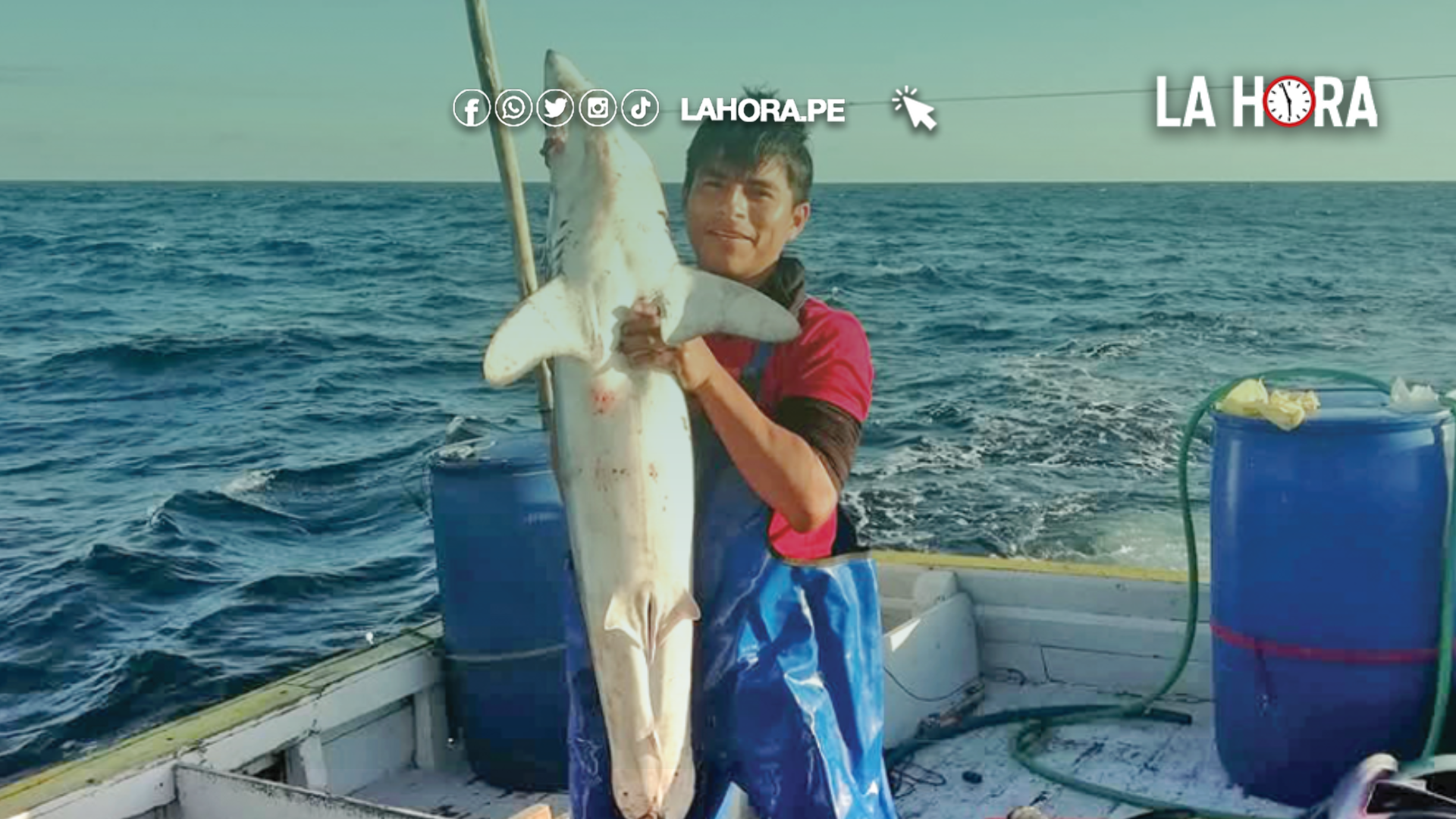 Sechura: Pescador es arrollado por vehículo y conductor se da a la fuga