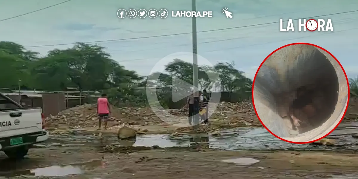 Sullana: Hallan cadáver de un hombre dentro de buzón abierto, en un tramo de la antigua carretera a La Tina