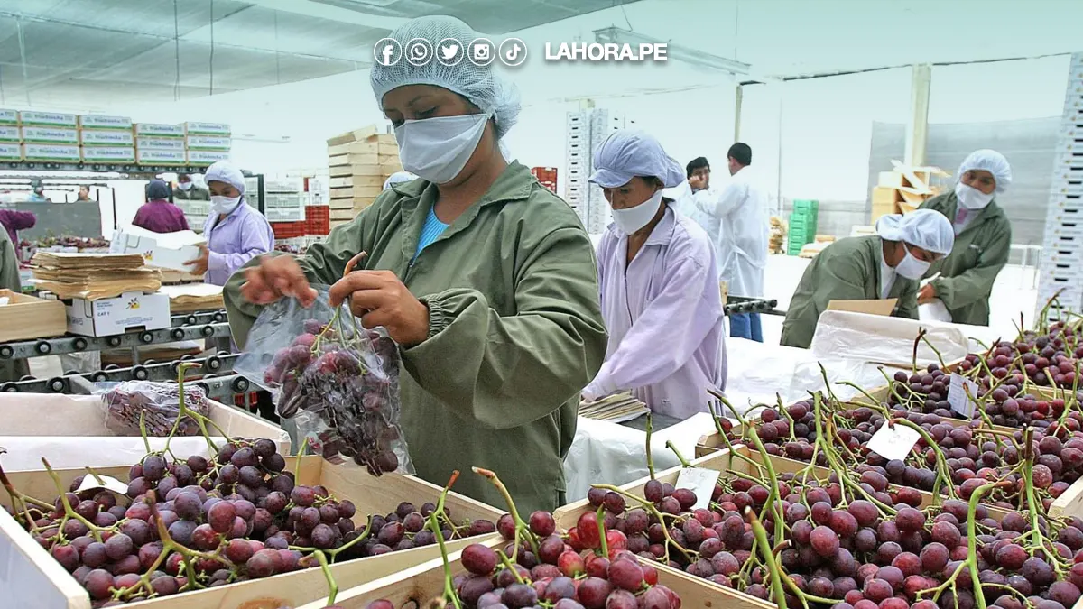 exportaciones peruanas