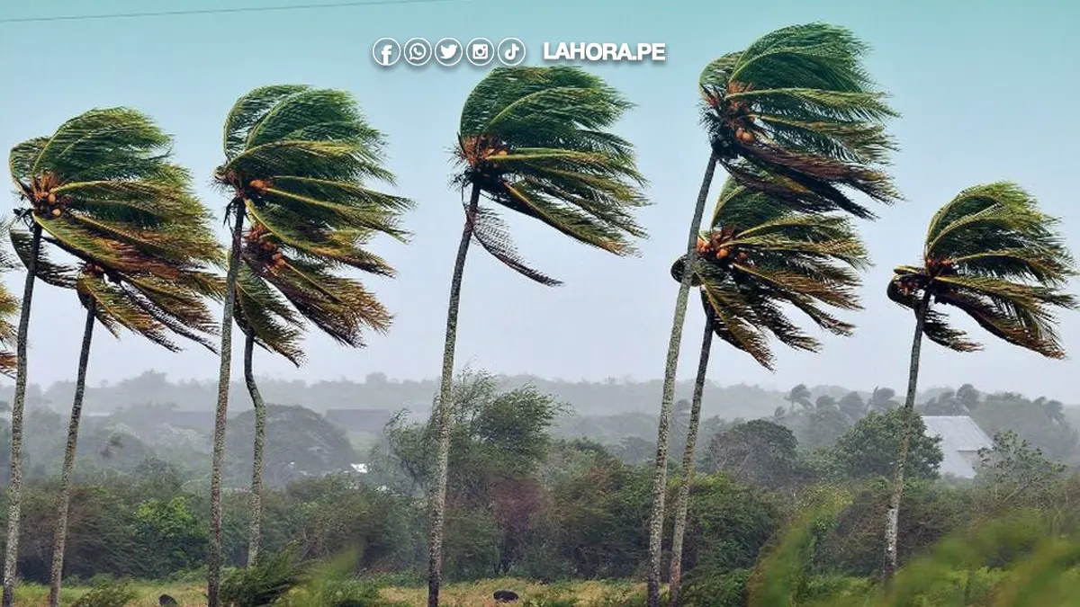 Senamhi anuncia incremento de viento en Piura, Sullana, Talara, Paita y Sechura